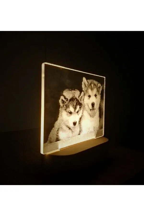 3D Acrylic Night Light Table Lamp with Wooden Base, Best Gift for Birthday, Anniversary, and Home Decor (Husky)