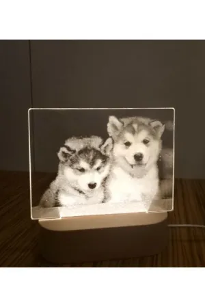 3D Acrylic Night Light Table Lamp with Wooden Base, Best Gift for Birthday, Anniversary, and Home Decor (Husky)