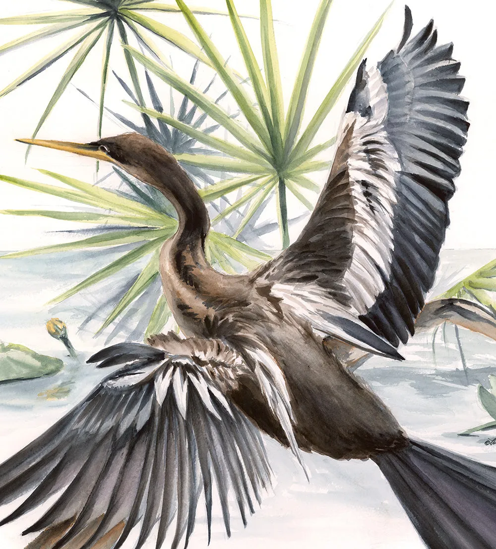 Almighty Anhinga - Fine Art Print