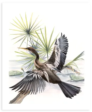 Almighty Anhinga - Fine Art Print