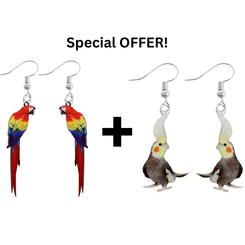 Artistic Parrot earrings