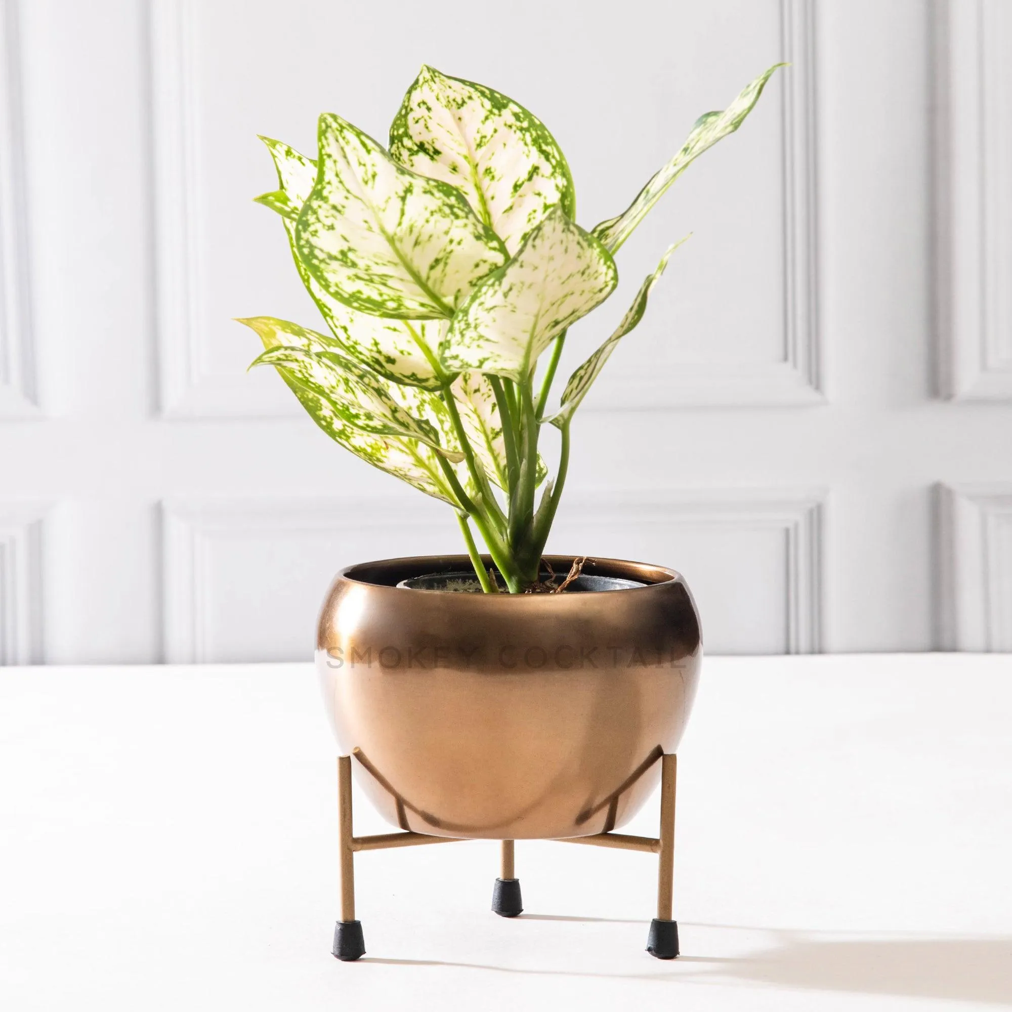 Artistic Planter With Stand - Set of 2