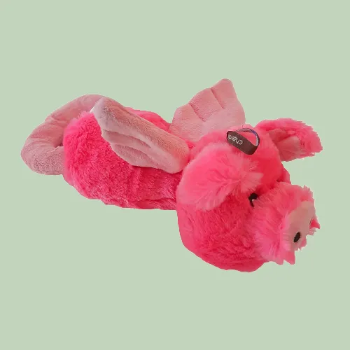 Charming Flying Pig