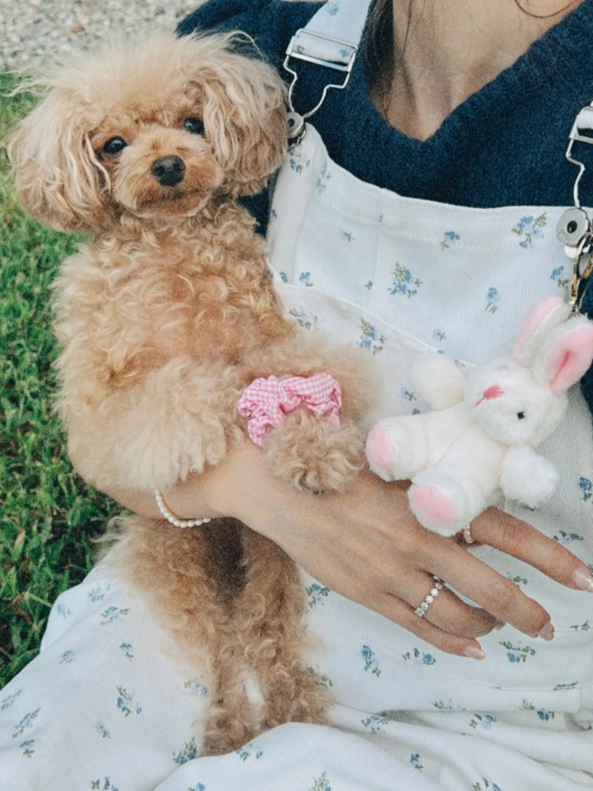 Charming Rabbit Key Charm