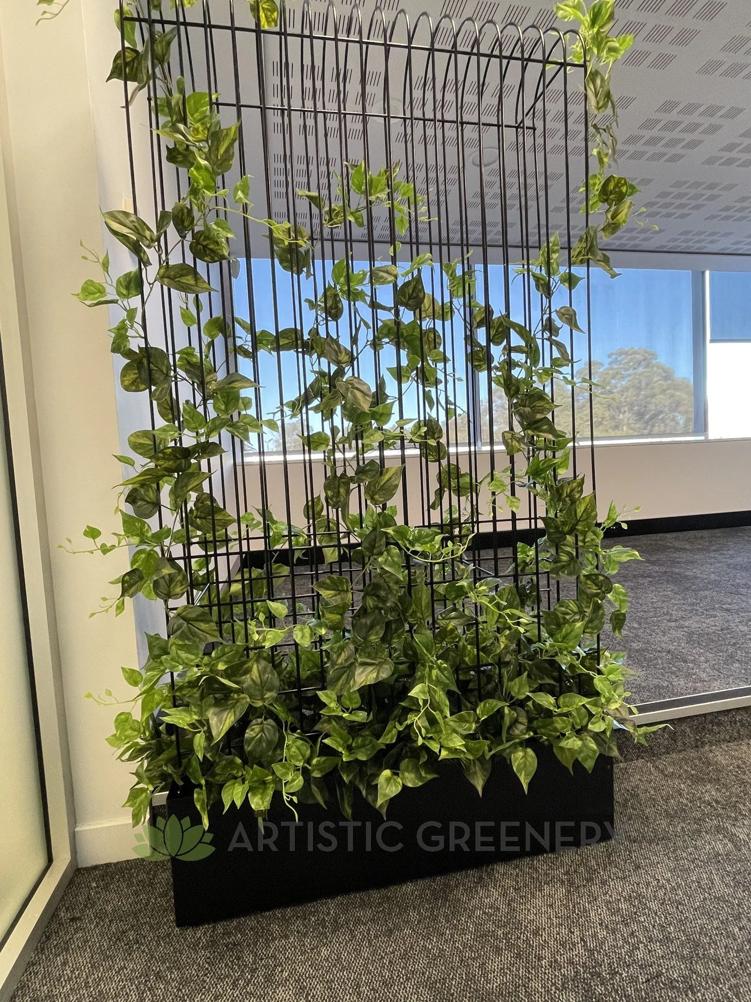 Edith Cowan University (ECU) Joondalup & Mt Lawley Campus - Artificial Climbing Plants for Planters / Potted Plants