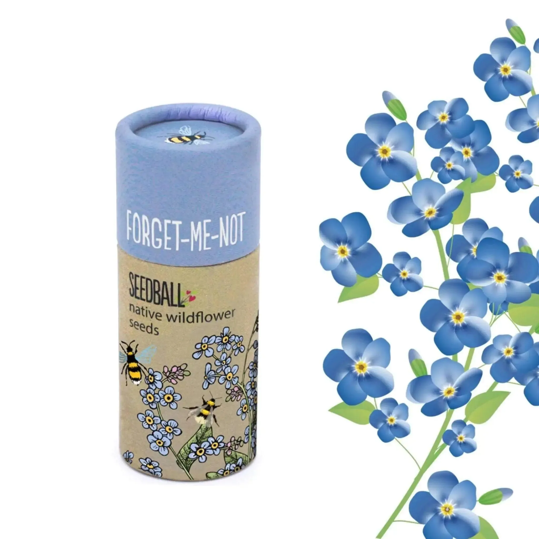 Forget Me Not Seedball