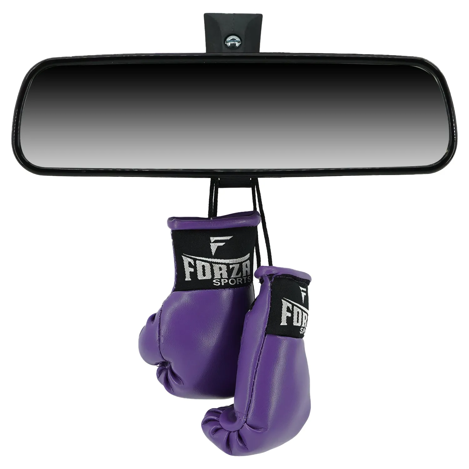 Forza Sports Mini Boxing Gloves - Purple