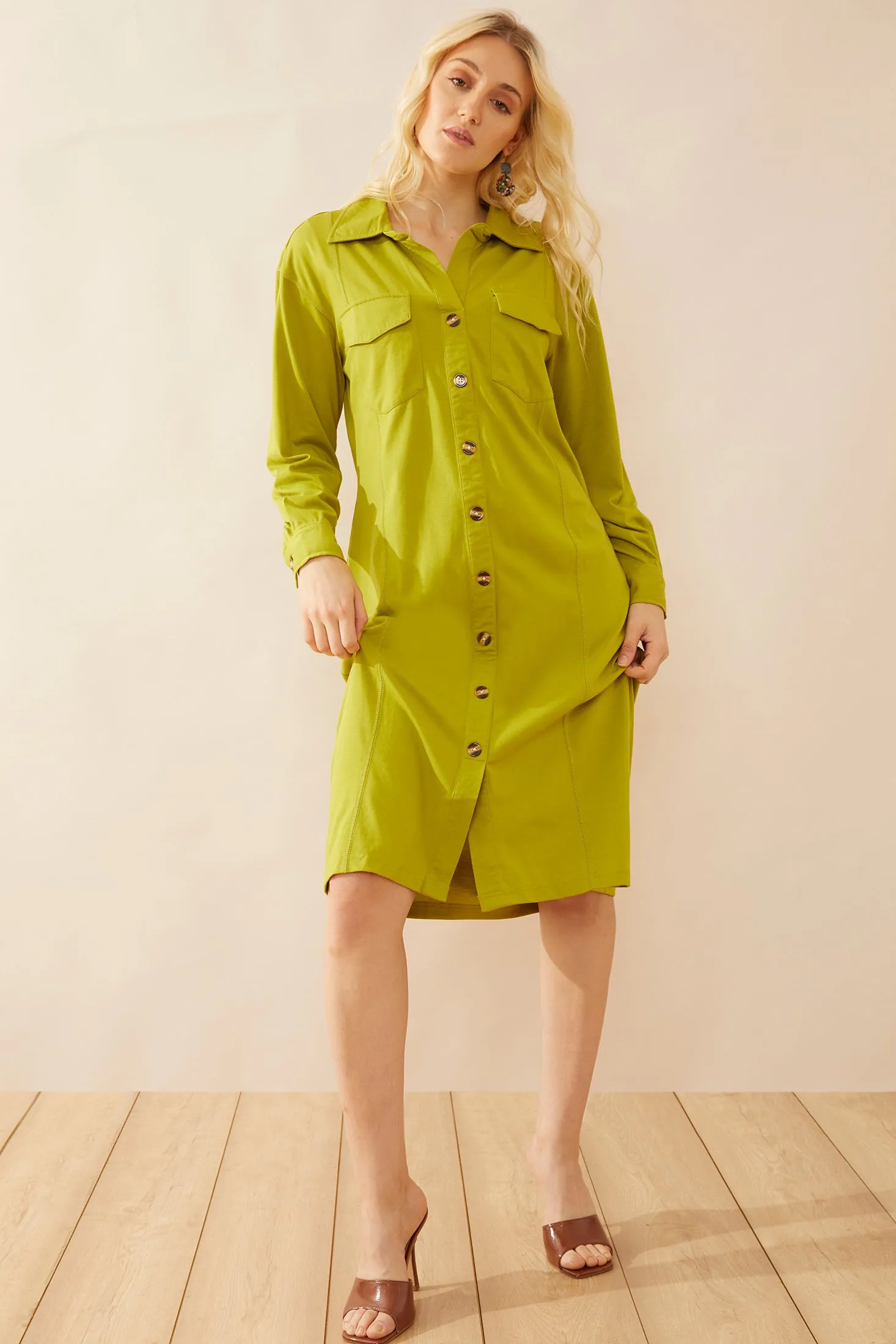 Georgeanna Shirt Dress