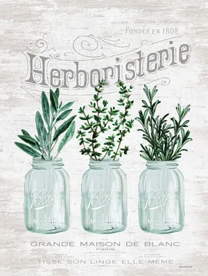 LET697 - Charming Kitchen Herbs - 12x16