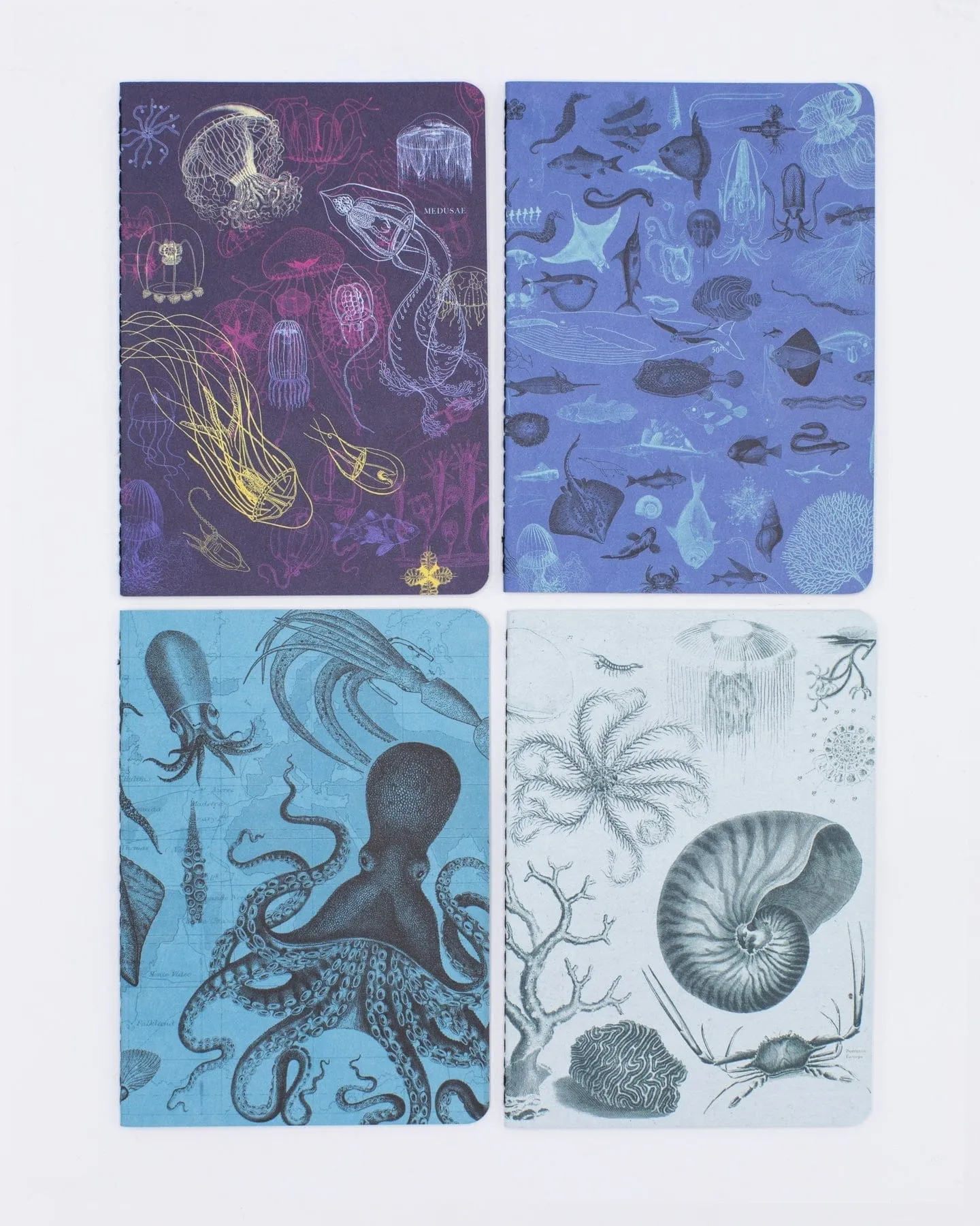 Marine Biology Pocket Notebook 4-pack