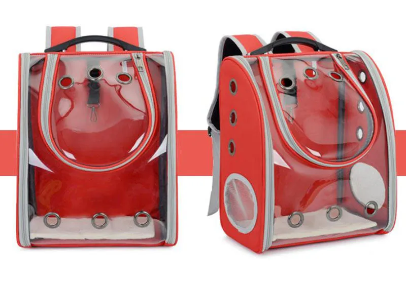 New transparent folding backpack for cats and dogs