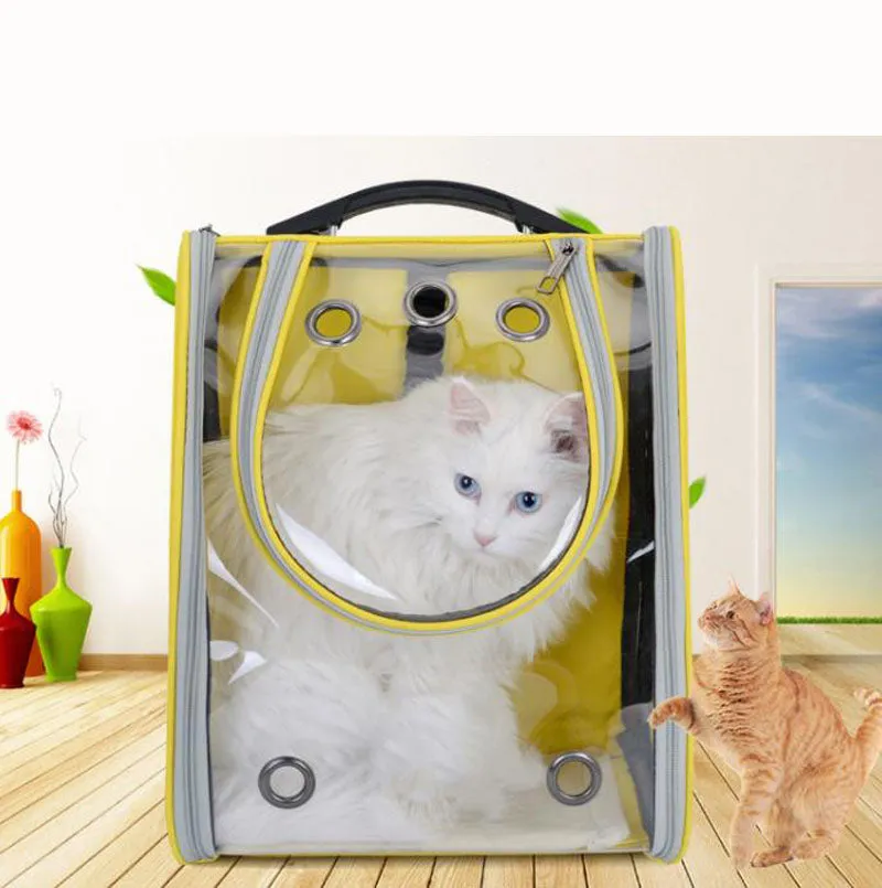 New transparent folding backpack for cats and dogs