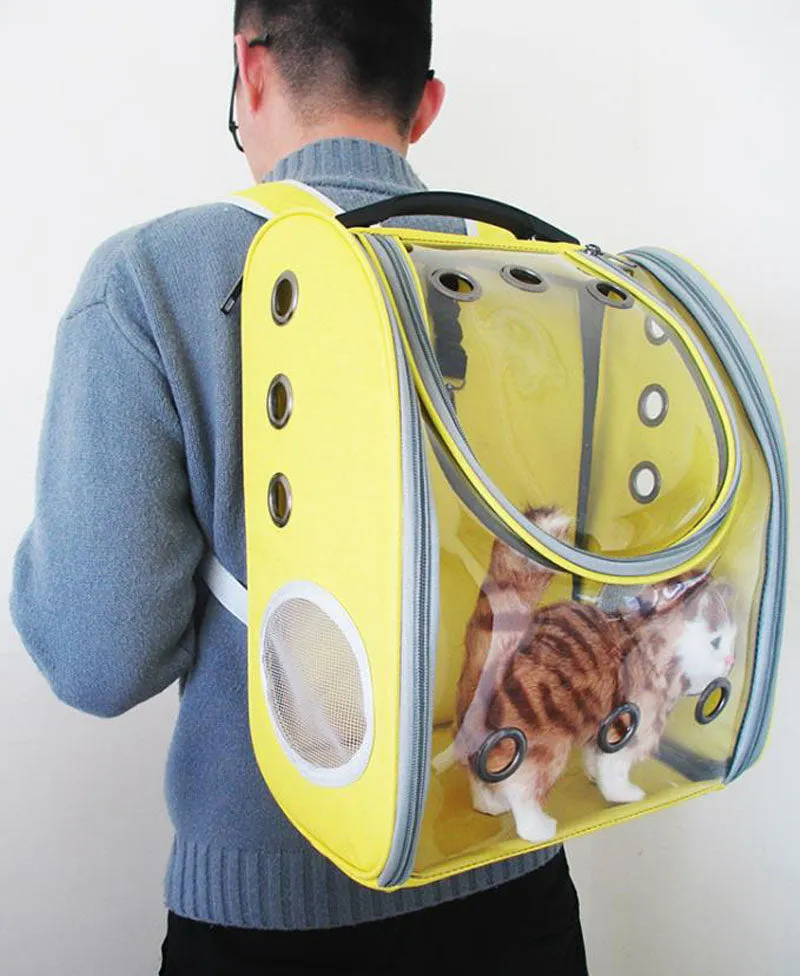 New transparent folding backpack for cats and dogs