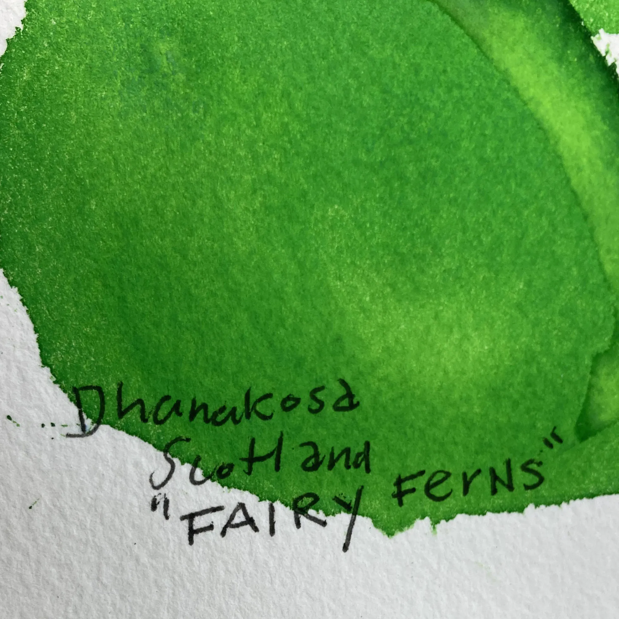 ORIGINAL WATERCOLOUR OF DHANAKOSA IN SCOTLAND 'FAIRY FERNS' - ANDREW LOGAN 2002