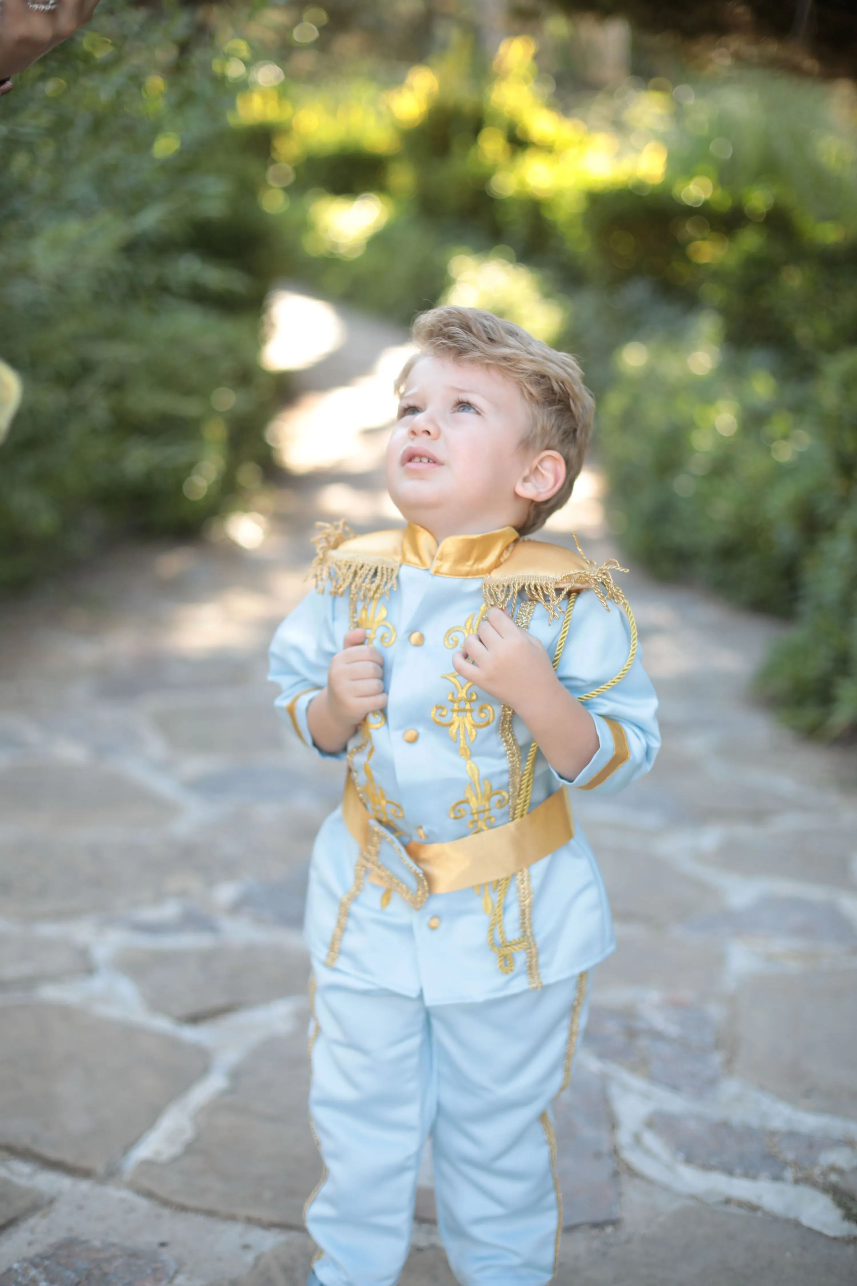 Prince charming costume sky blue