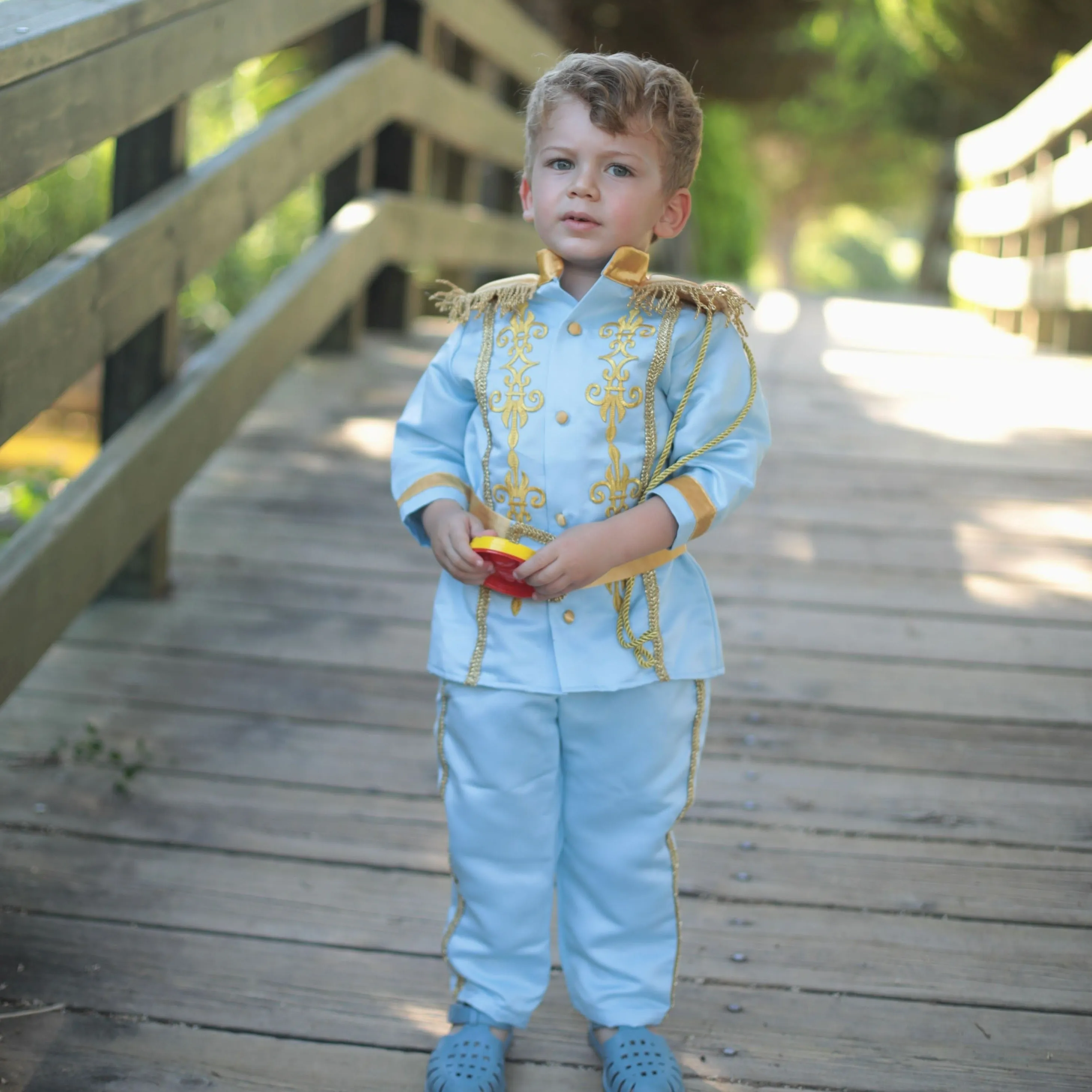 Prince charming costume sky blue