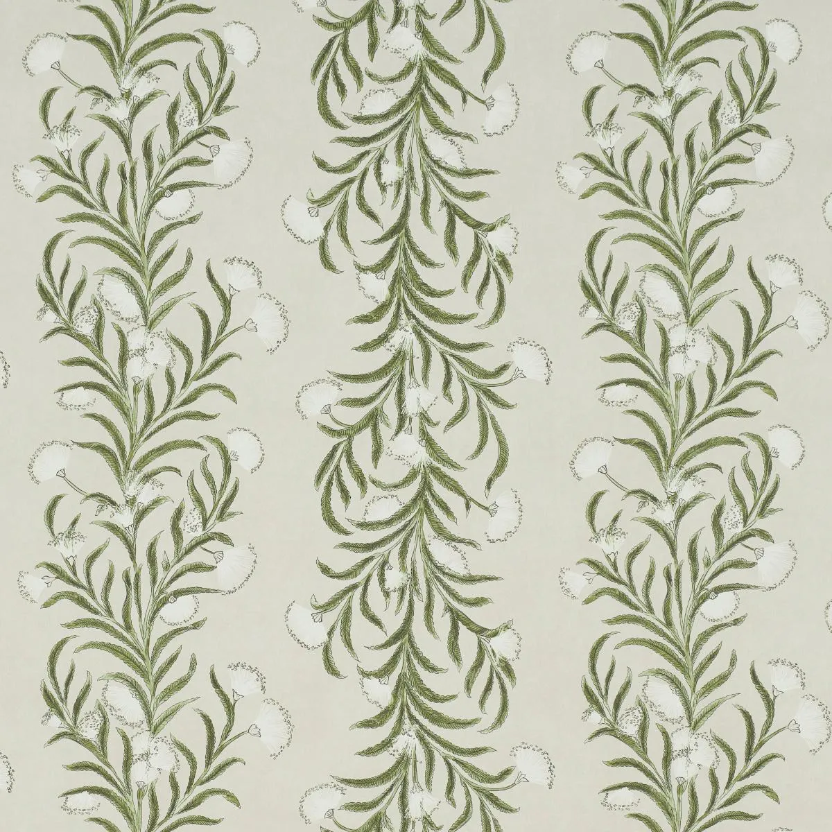 Schumacher Tasmanian Mimosa Wallpaper