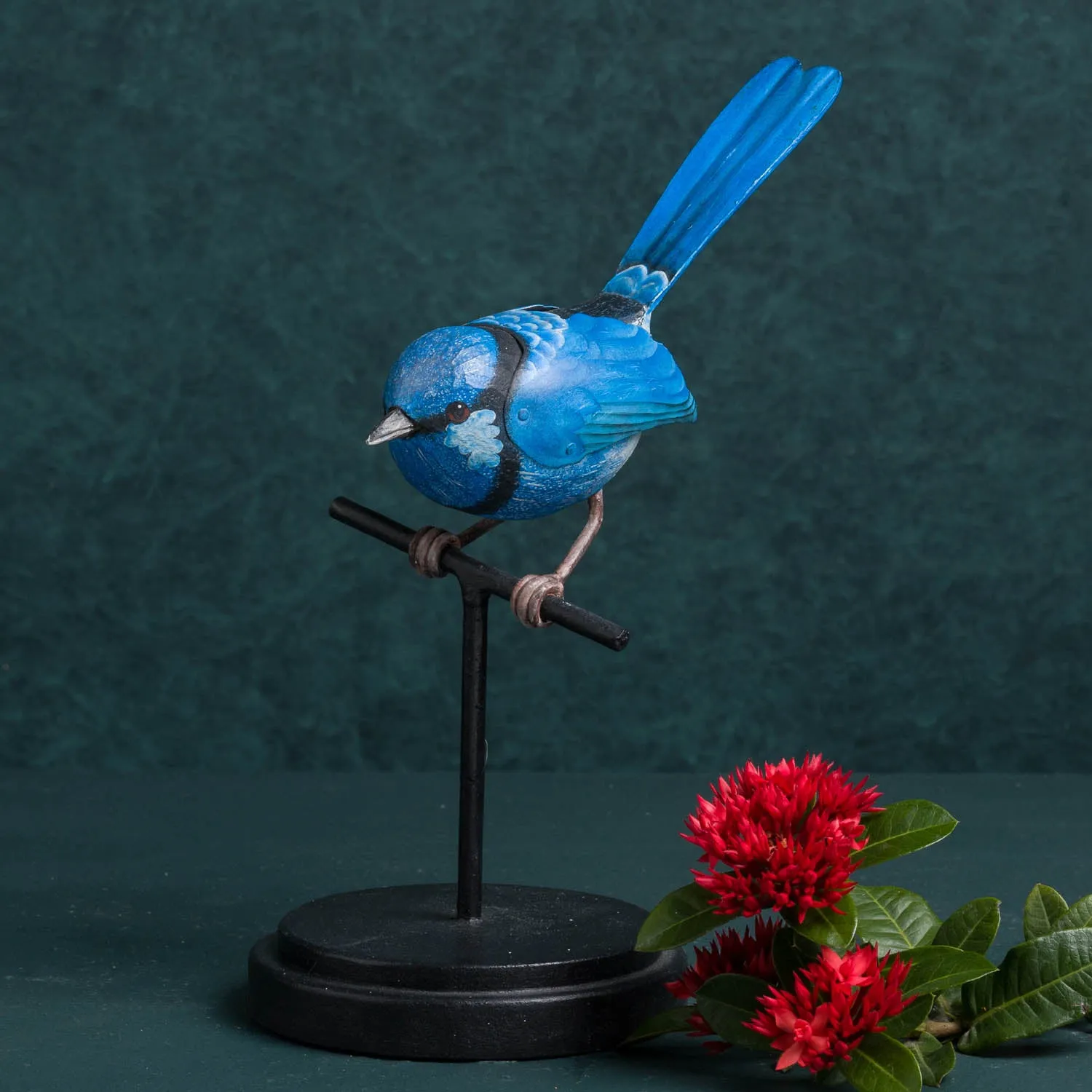 SPLENDID FAIRY WREN