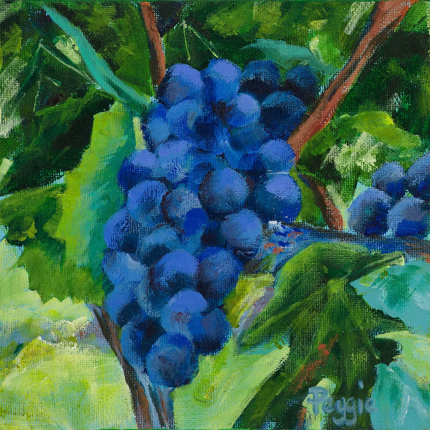 Splendid Grapes