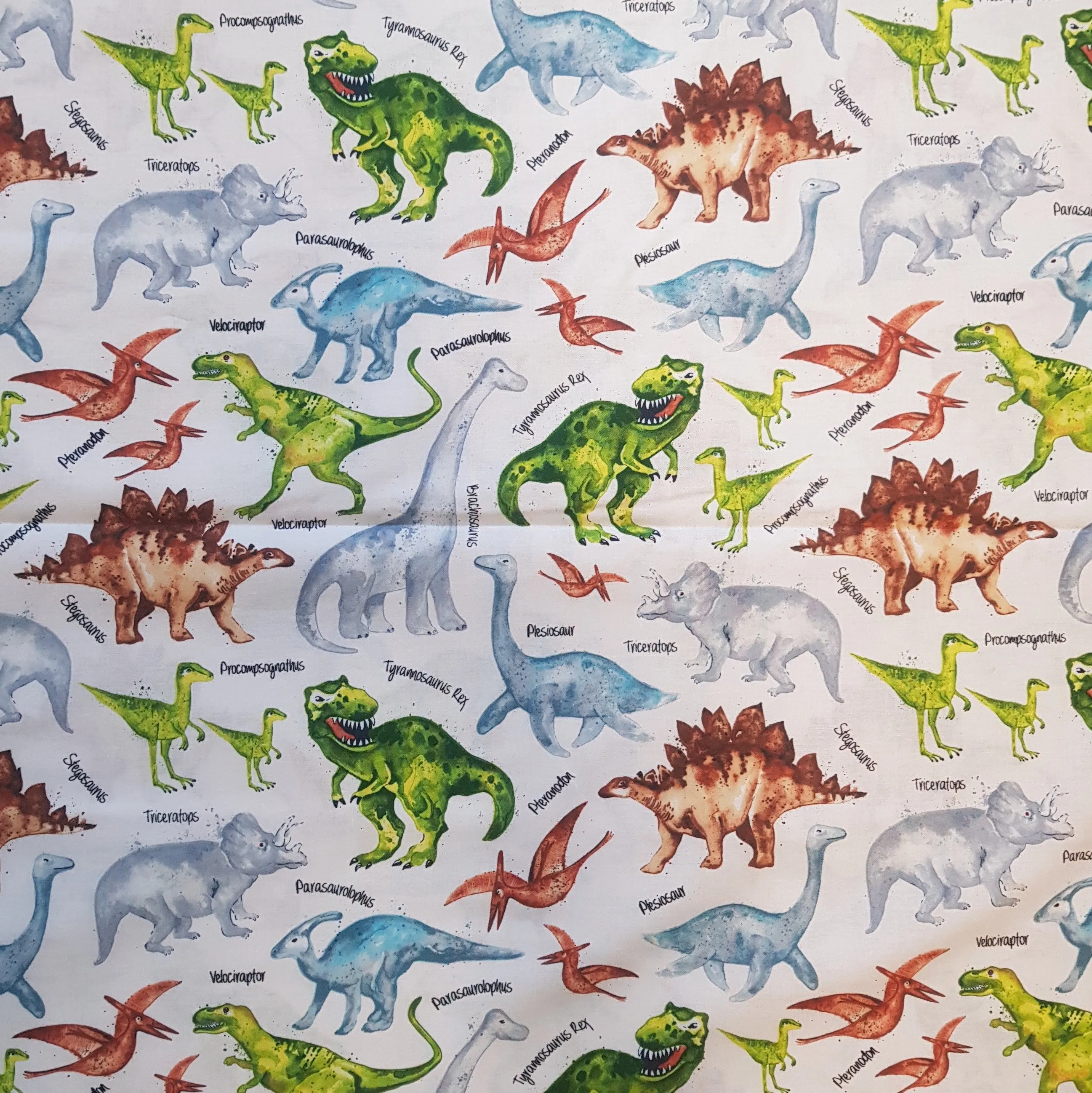 Timeless Treasures Dino and Names Cotton Fabric