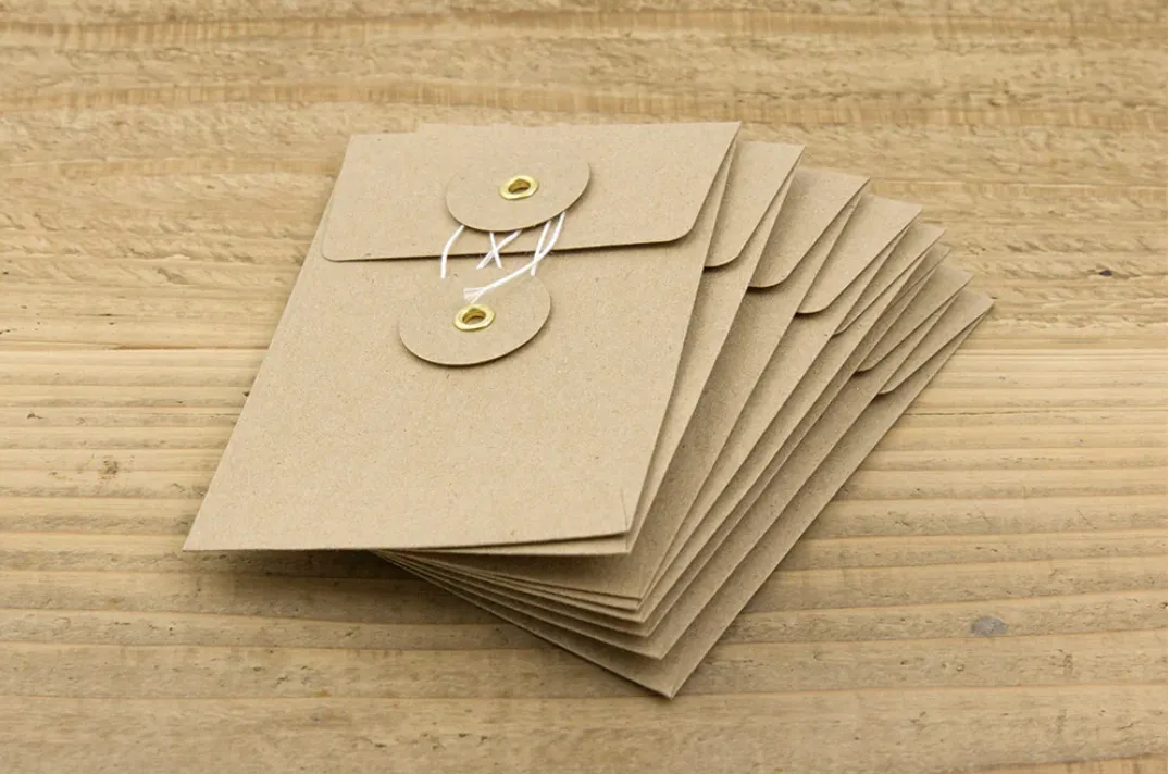 TRAVELER'S COMPANY | Kraft Envelope (S) | Brown